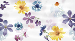 Dec Glen Panno B КПН16GlenB 25х45