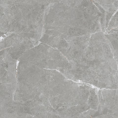 Stone Cool Grey Керамогранит серый 60х60 Матовый