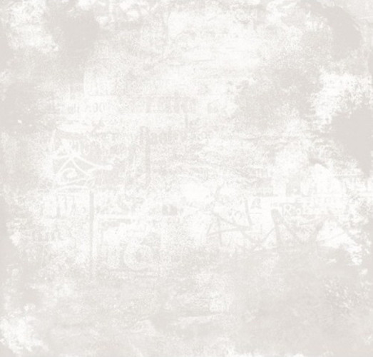 VZ 01 60х60 неполир