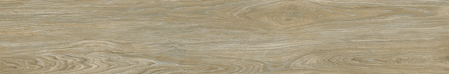 Sherwood Керамогранит оливковый SG511720R 19,6х119,5