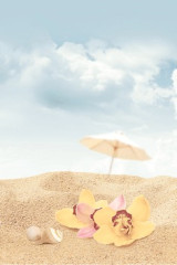 Cocktail Декор D3 D3D140 20х30