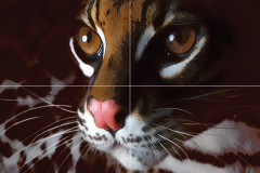 Home master P4D254 Панно из 4-х плиток 60х40