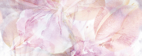 Dec Frescura Panno B 20х50