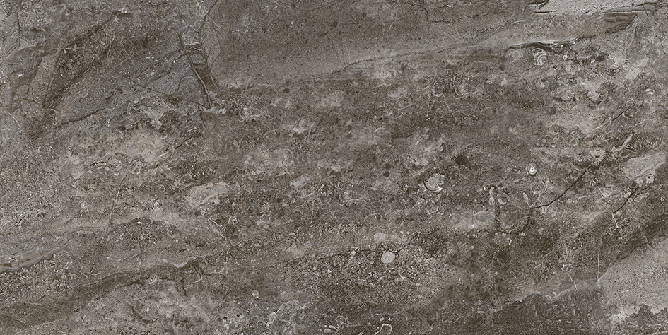 Gregory Плитка настенная табачный 34046 25х50