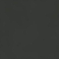 City Style Керамогранит Черный G-120/MR/60x60