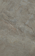 Кантата серый глянцевый 6431 25x40