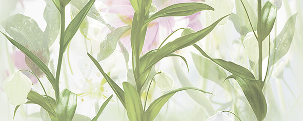 Dec Jardin Panno C 20х50