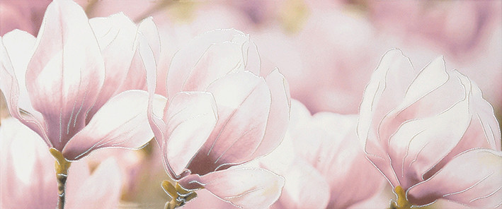 Rapsodia violet 01 Декор 25х60