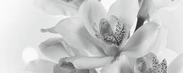 Элегия 7 Панно тип-3 20х50