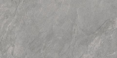 Porter Gray Pro Керамогранит серый LP6012G0181R 59,5х119,1 матовый R10 STR