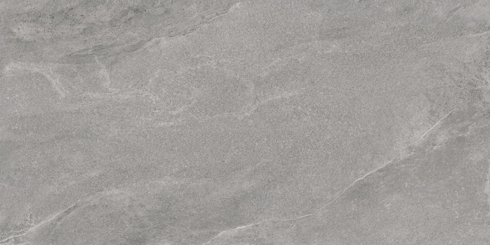 Porter Gray Pro Керамогранит серый LP6012G0181R 59,5х119,1 матовый R10 STR