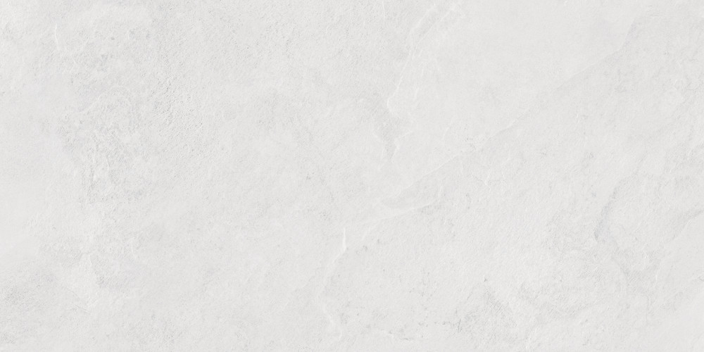 Porter Silver Pro Керамогранит светло-серый LP6012G0171R 59,5х119,1 матовый R10 STR