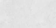 Porter Silver Pro Керамогранит светло-серый LP6012G0171R 59,5х119,1 матовый R10 STR