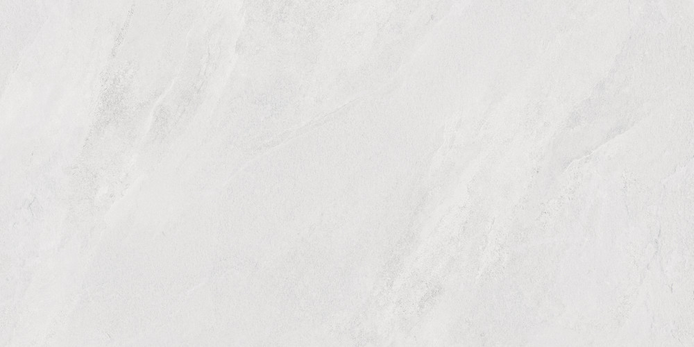 Porter Silver Pro Керамогранит светло-серый LP6012G0171R 59,5х119,1 матовый R10 STR