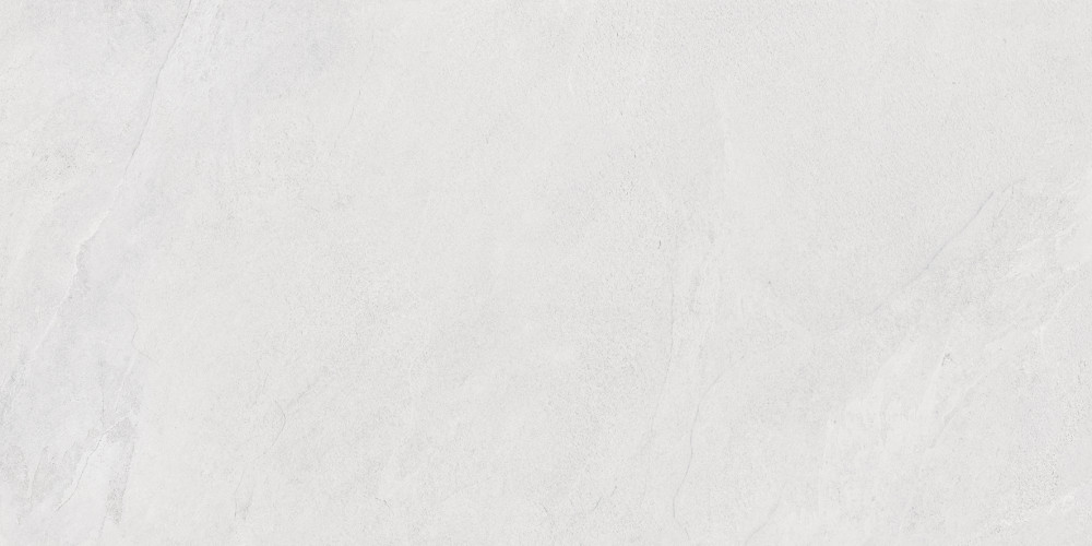 Porter Silver Pro Керамогранит светло-серый LP6012G0171R 59,5х119,1 матовый R10 STR