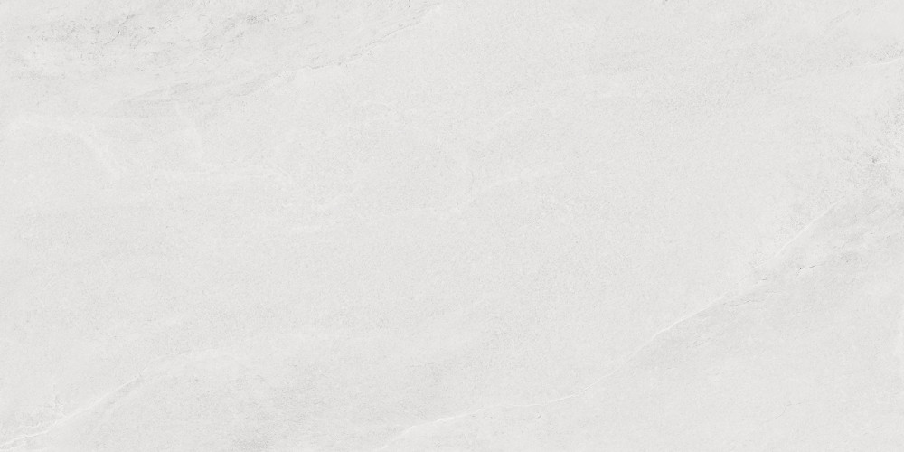 Porter Silver Pro Керамогранит светло-серый LP6012G0171R 59,5х119,1 матовый R10 STR