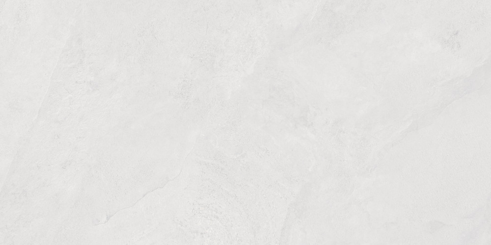 Porter Silver Pro Керамогранит светло-серый LP6012G0171R 59,5х119,1 матовый R10 STR