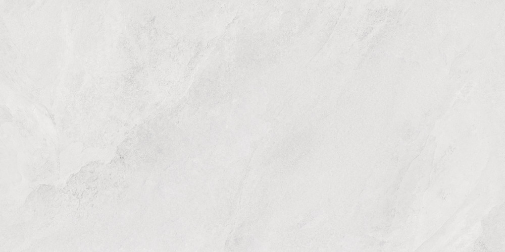 Porter Silver Pro Керамогранит светло-серый LP6012G0171R 59,5х119,1 матовый R10 STR