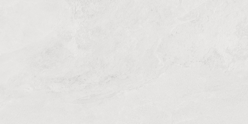 Porter Silver Pro Керамогранит светло-серый LP6012G0171R 59,5х119,1 матовый R10 STR