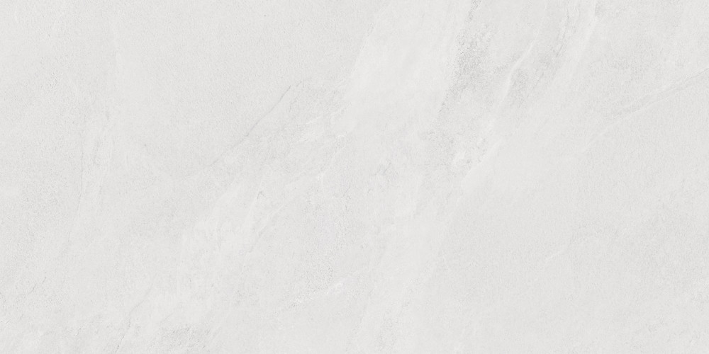 Porter Silver Pro Керамогранит светло-серый LP6012G0171R 59,5х119,1 матовый R10 STR