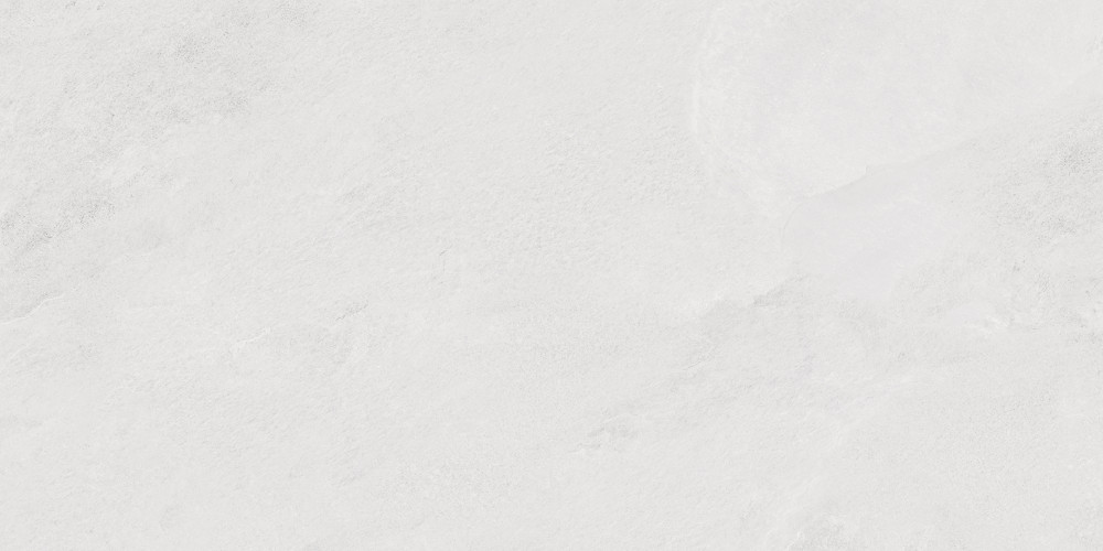 Porter Silver Pro Керамогранит светло-серый LP6012G0171R 59,5х119,1 матовый R10 STR