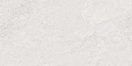 Porter Silver Pro Керамогранит светло-серый LP6012G0171R 59,5х119,1 матовый R10 STR