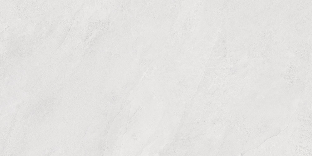 Porter Silver Pro Керамогранит светло-серый LP6012G0171R 59,5х119,1 матовый R10 STR