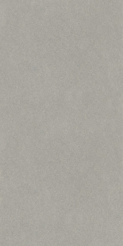 Джиминьяно Керамогранит серый лаппатированный обрезной DD519322R 60x119,5