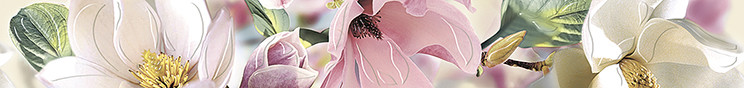 Boho Бордюр `Magnolia`` 7,5x63