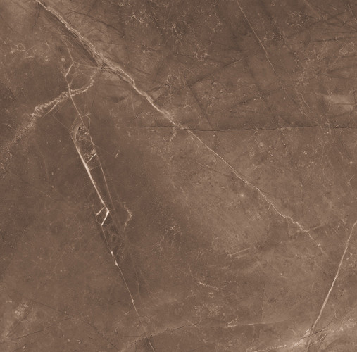 Elegant Armani Choco Керамогранит 60х60 Полированный