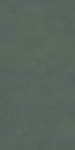Про Чементо Керамогранит зелёный матовый обрезной DD507420R 60x119,5