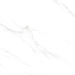 Calacatta Genius Керамогранит белый 60х60 Полированный