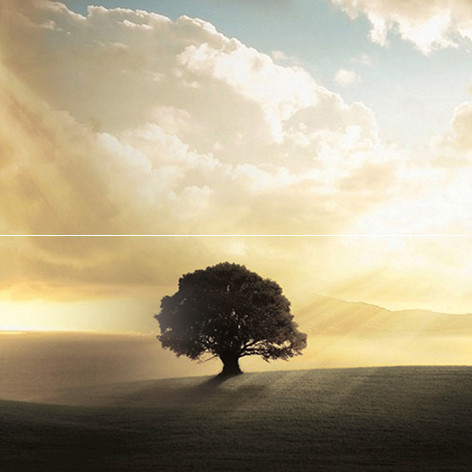 Castle Панно P2-1D194 40х40 (из 2 плиток)