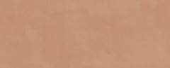Каннареджо Плитка настенная оранжевый матовый 7254 20x50