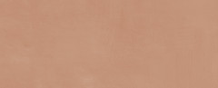 Каннареджо Плитка настенная оранжевый матовый 7254 20x50