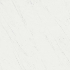 Борсари Керамогранит белый обрезной SG453520R 50,2х50,2