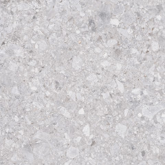 Matrix Керамогранит светло-серый K952738R0001LPET 60x60