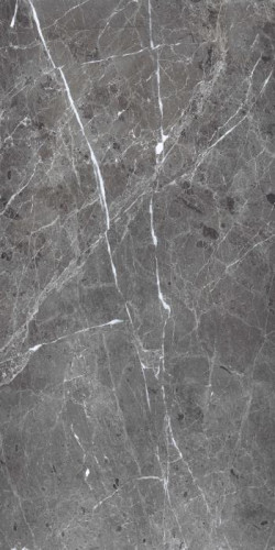 PR208 Керамогранит Ardesia Grafito Polished 60*120 1,44 м2 #