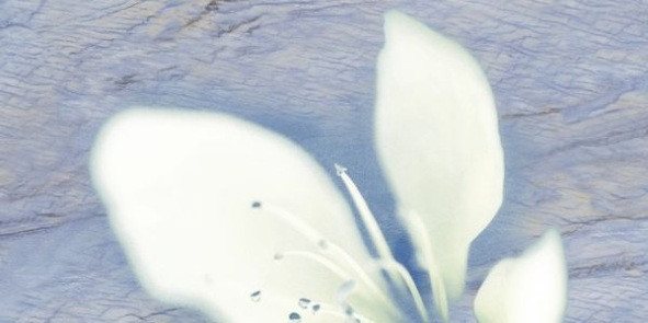 Реноме голубой 10-03-61-221 Декор 25х50