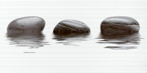 Фреш 10-04-04-330-0/10-10-04-330-0 50х25 (Вставка декорат.)