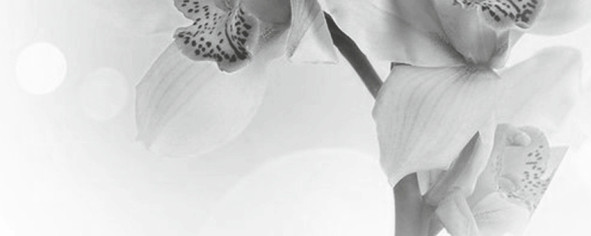 Элегия 7 Панно тип-4 20х50