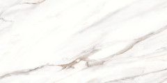 Escaped Керамогранит 80х160 Полированный