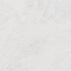 Porter Silver Pro Керамогранит светло-серый LP6060G0181R 59,5х59,5 матовый R10 STR