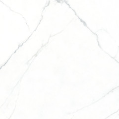 Ogma Керамогранит 80х80 Полированный