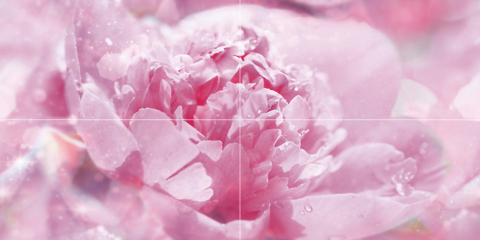 Peony Панно P4D281 80х40 (из 4 плиток)