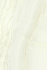 Летний сад Плитка настенная фисташковый 8261   20х30