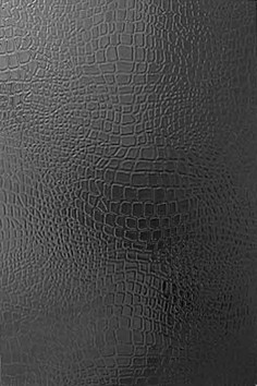 Варан черный 8020 20х30