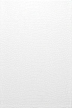 Варан белый 8021 20х30