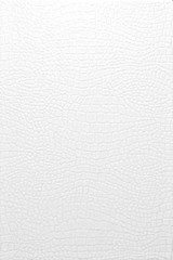 Варан белый 8021 20х30