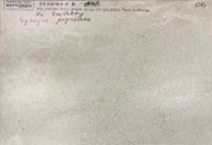 NR204 Керамогранит Elgon Light grey 60*120